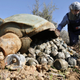 Illustration for article titled Pentagon Replacing Cluster Bombs With Something Far Less Controversial